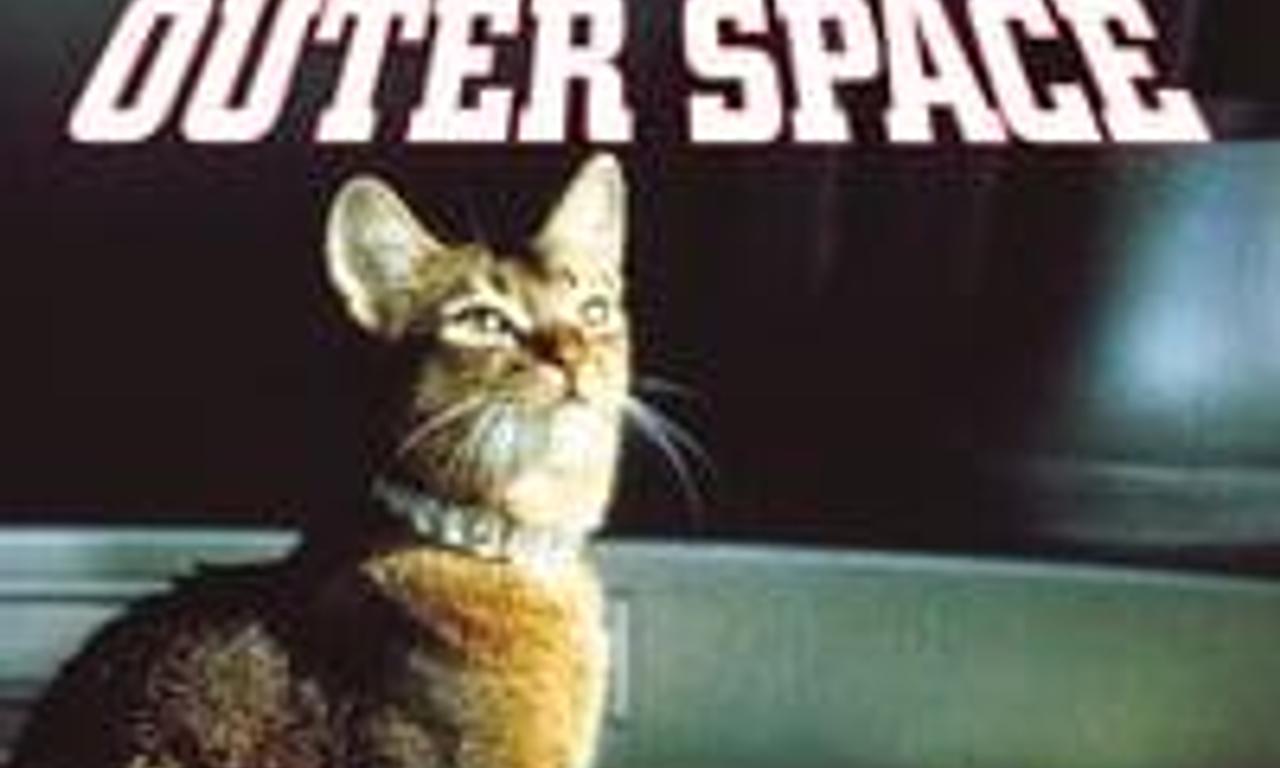 header image for The Cat from Outer Space