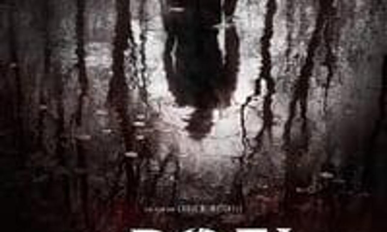 header image for The Pool