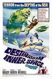 Destination Inner Space