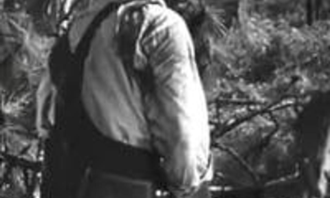 header image for Men Of The Forest