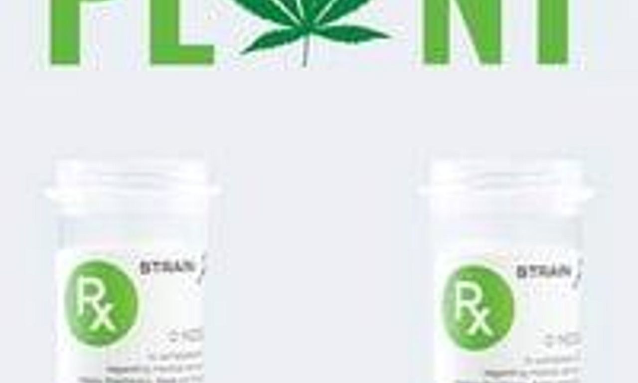 header image for The God Plant