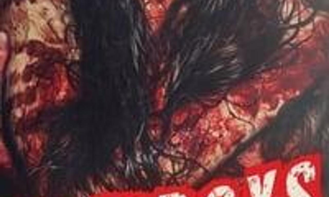 header image for Tomboys