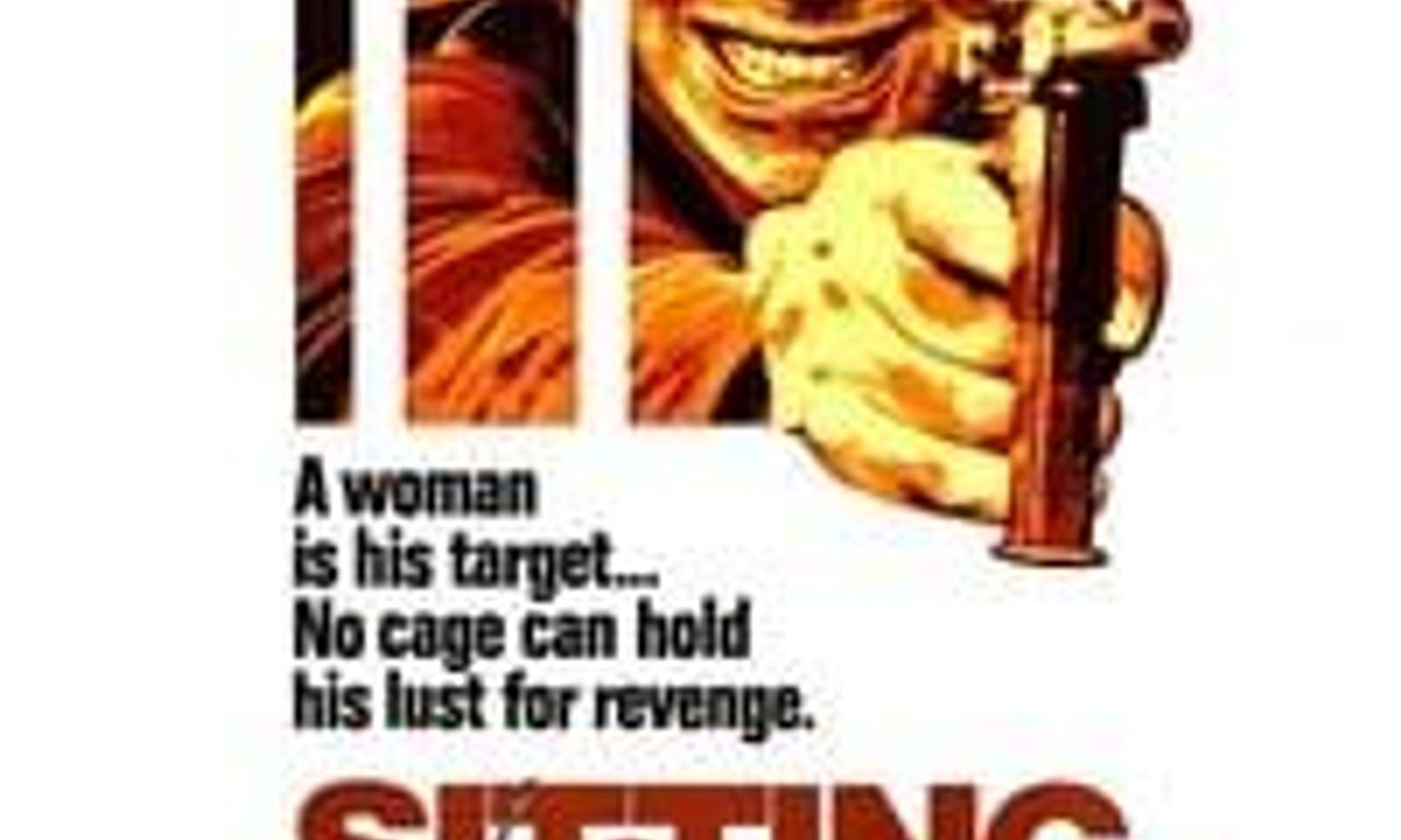 header image for Sitting Target