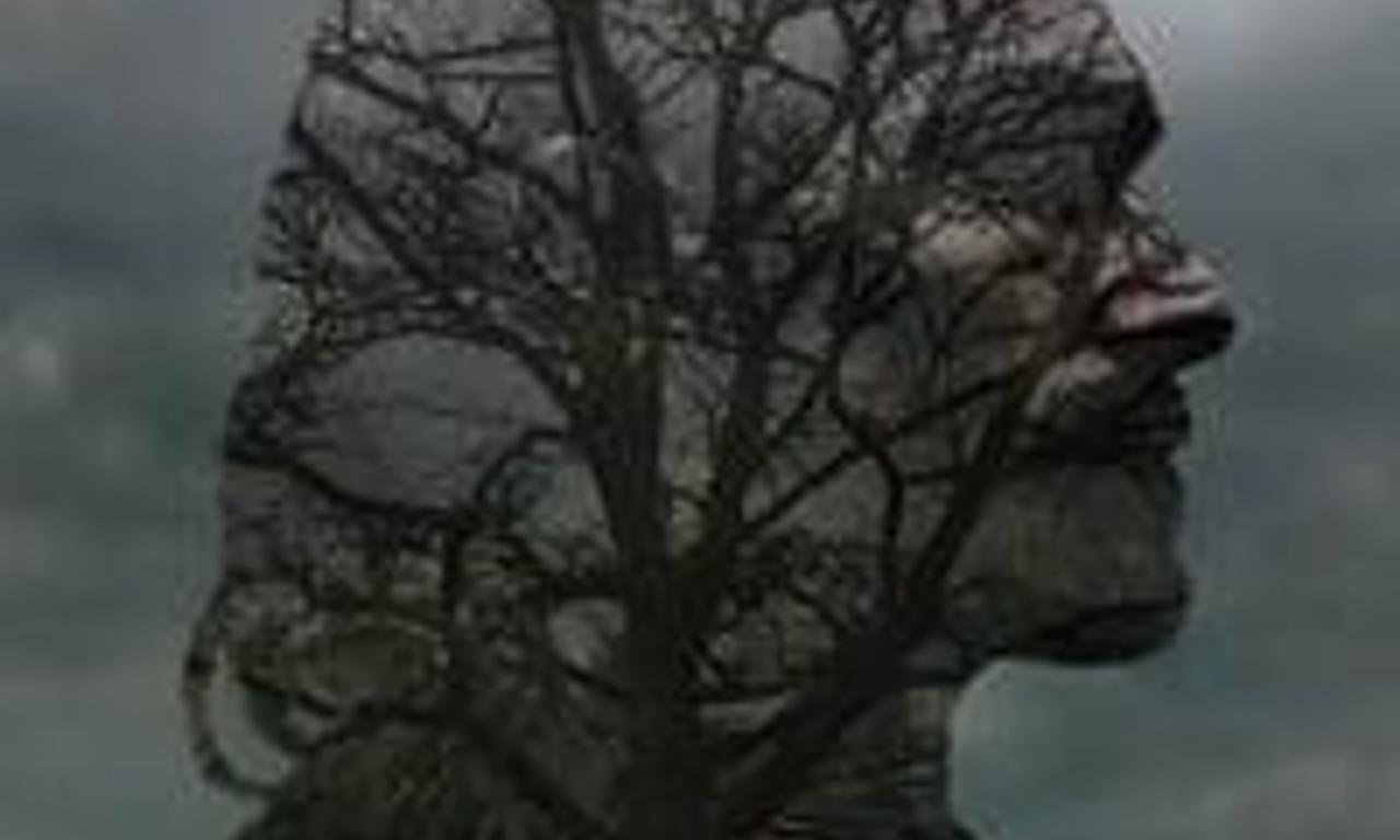 header image for Black Fly