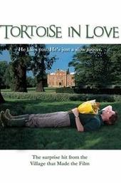 Tortoise in Love