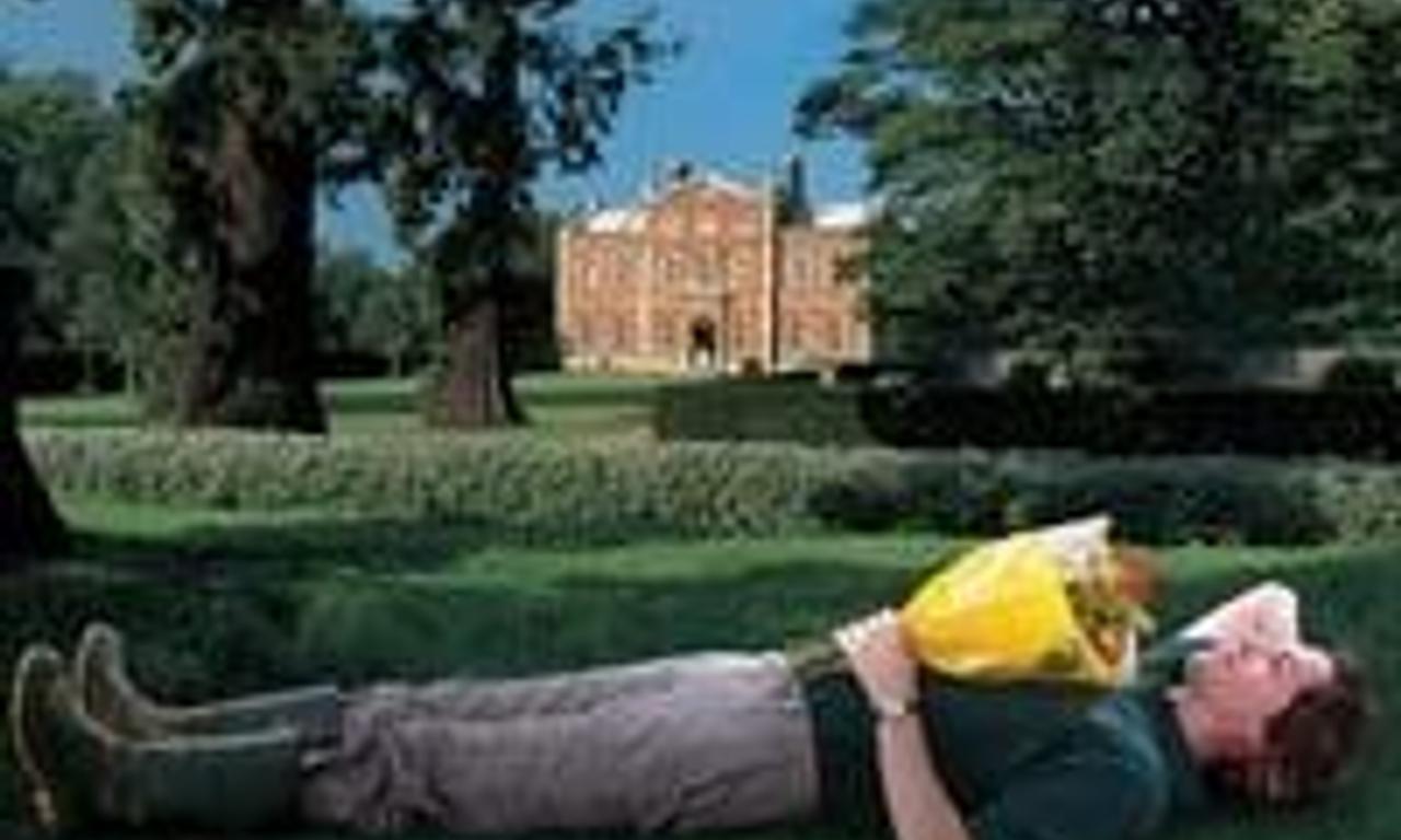 header image for Tortoise in Love