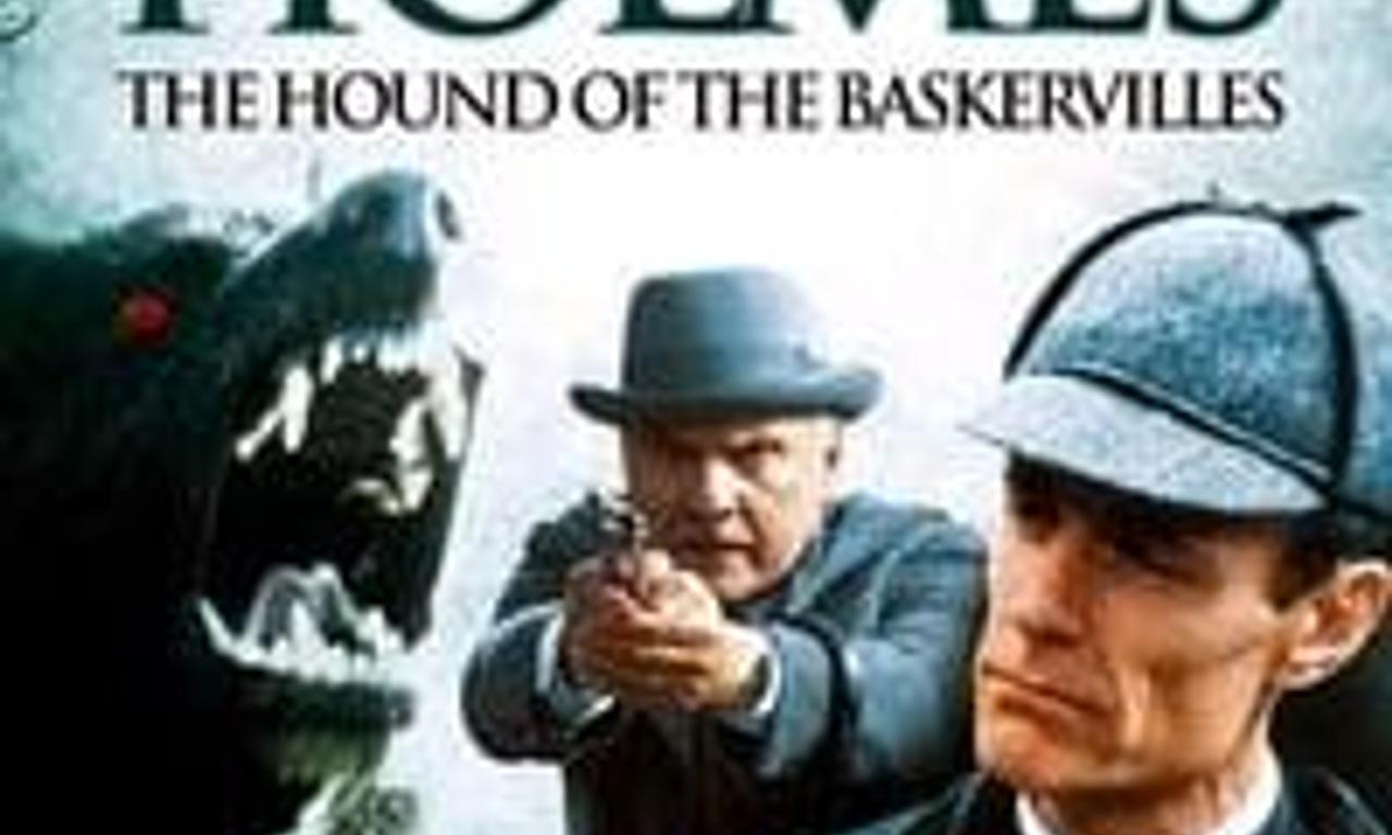 header image for The Hound of the Baskervilles