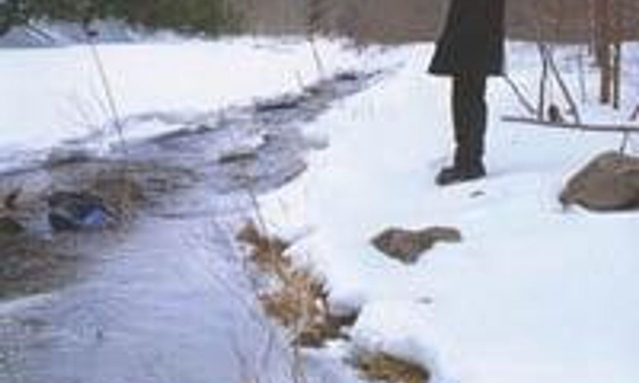 header image for The River King