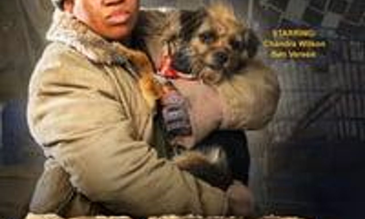 header image for Accidental Friendship