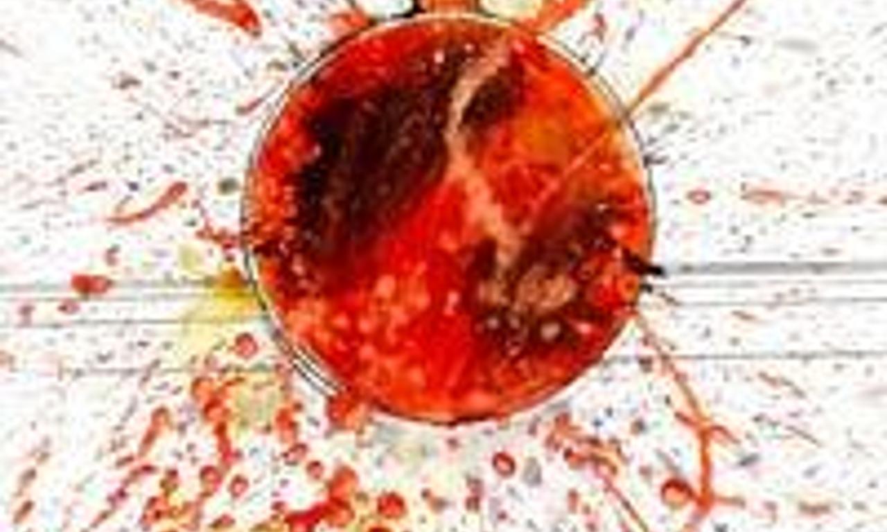 header image for Freak Power: The Ballot or the Bomb