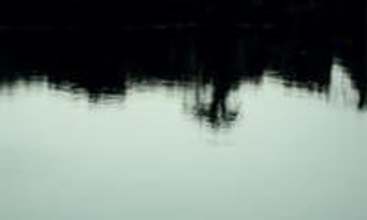 header image for Eternal Amazonia