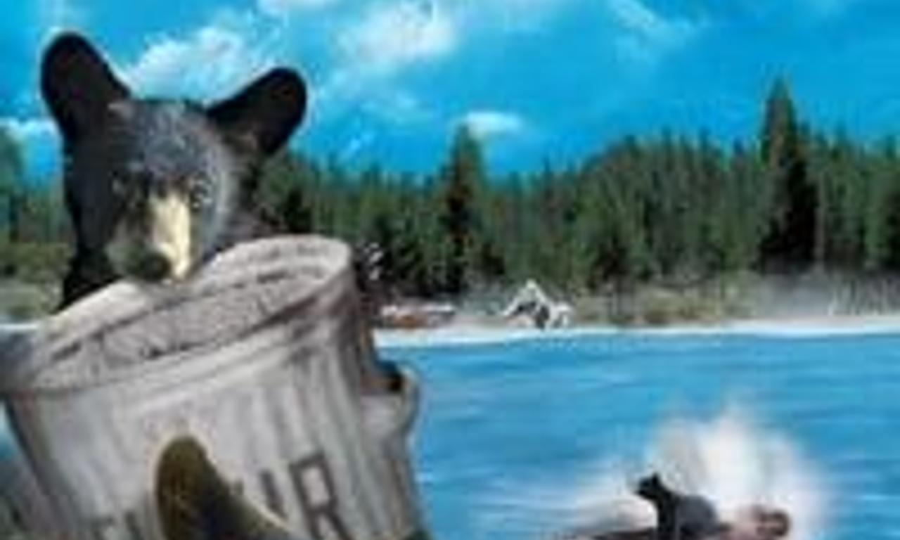 header image for Yellowstone Cubs