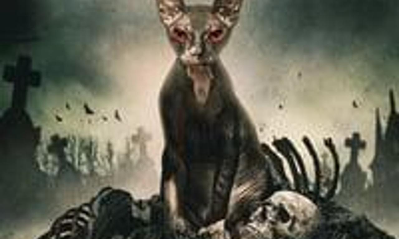 header image for Pet Graveyard