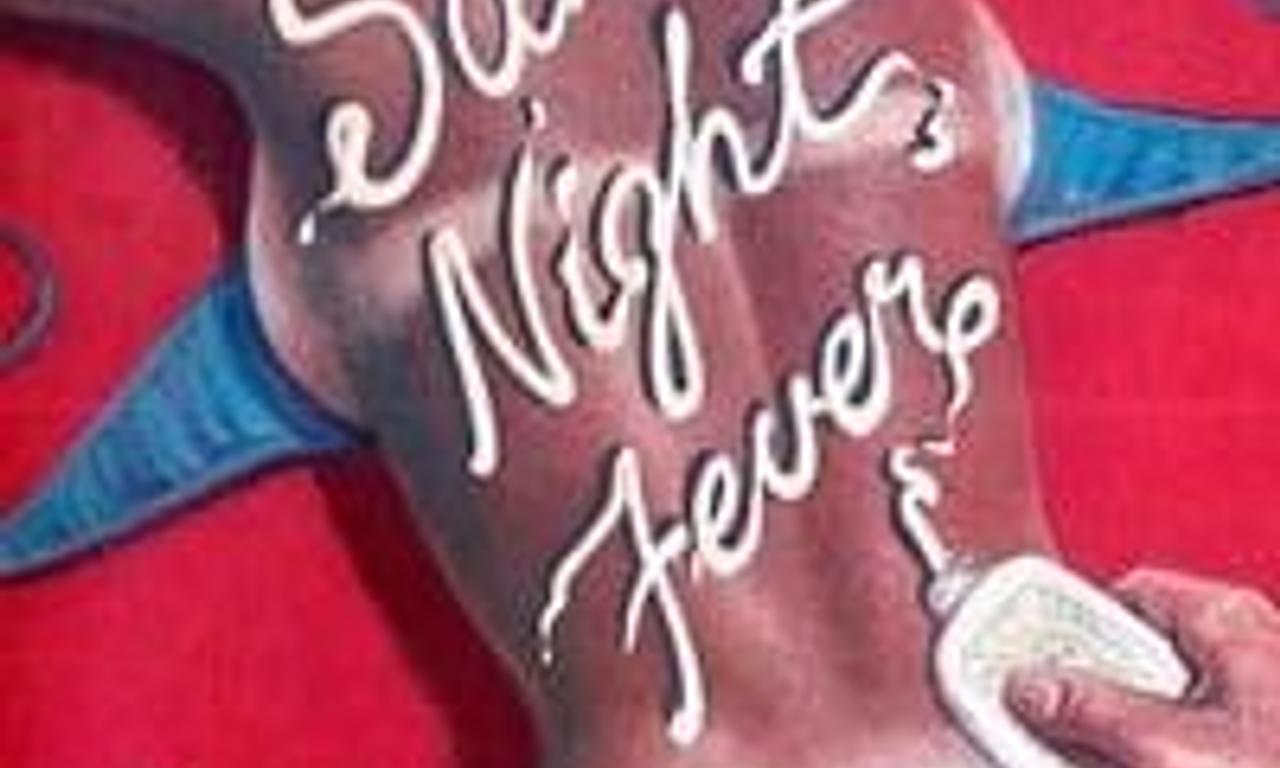 header image for Summer Night Fever