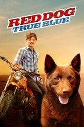 Red Dog: True Blue