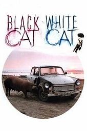 Black Cat, White Cat