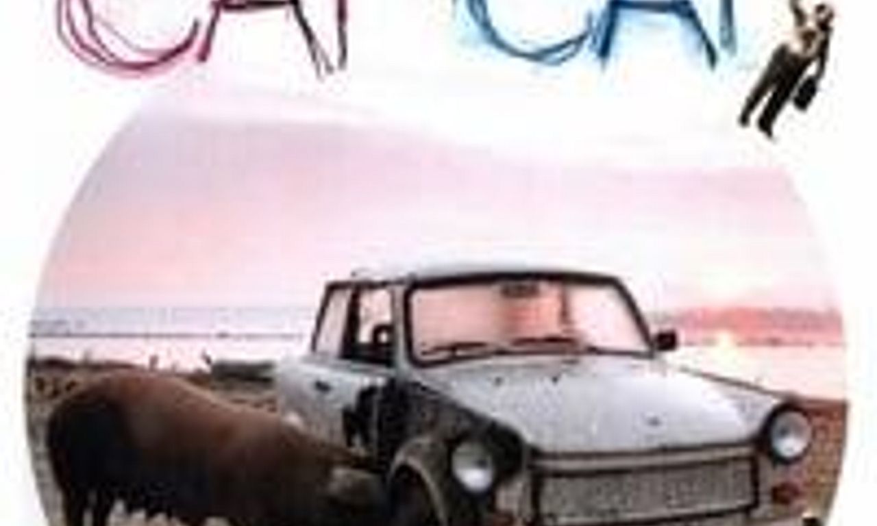 header image for Black Cat, White Cat