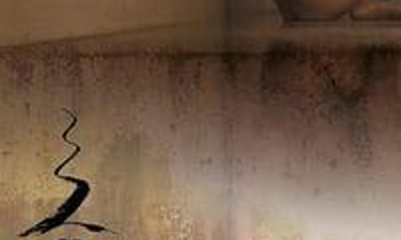 header image for The Net