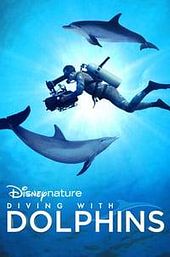 Diving With Dolphins