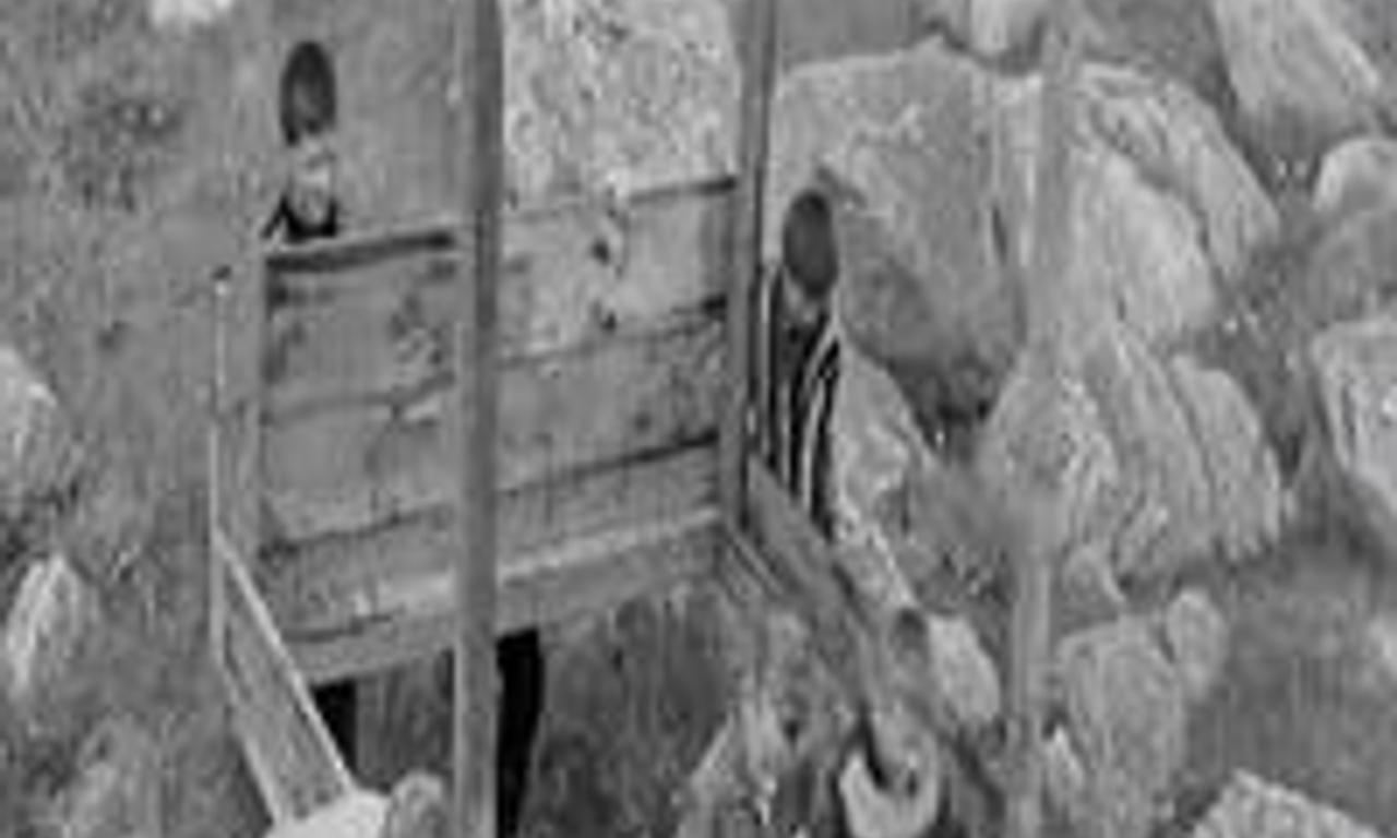 header image for The Children of Fogo Island