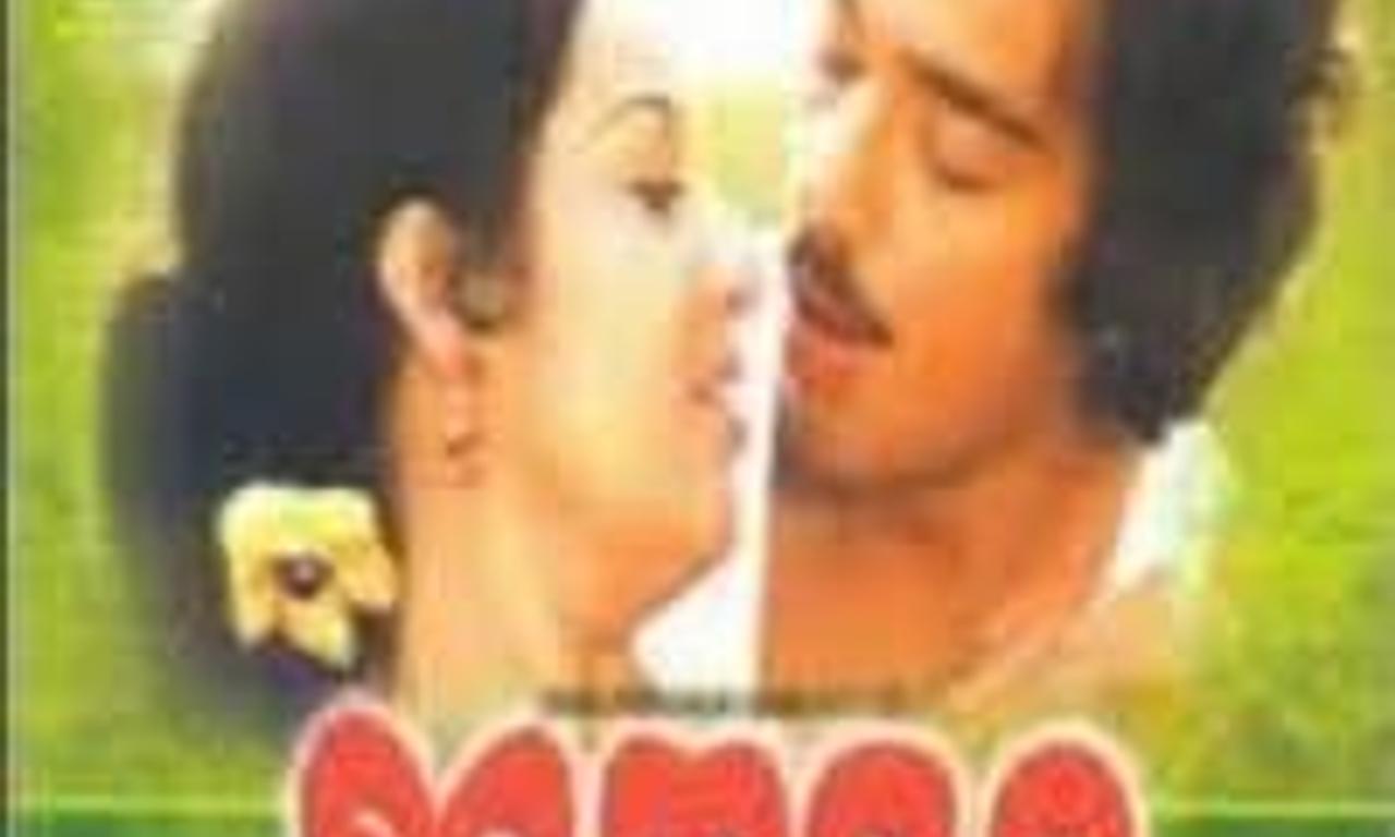 header image for Eeta