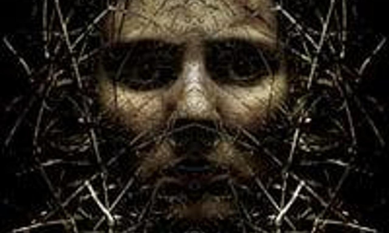 header image for The Circle