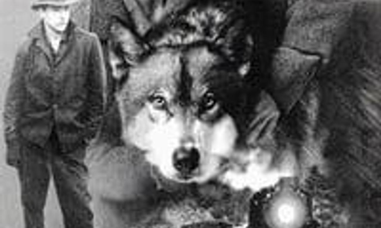 header image for The Journey of Natty Gann