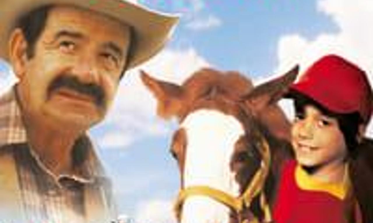 header image for Casey's Shadow