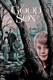 The Good Son