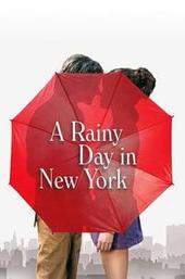 A Rainy Day in New York