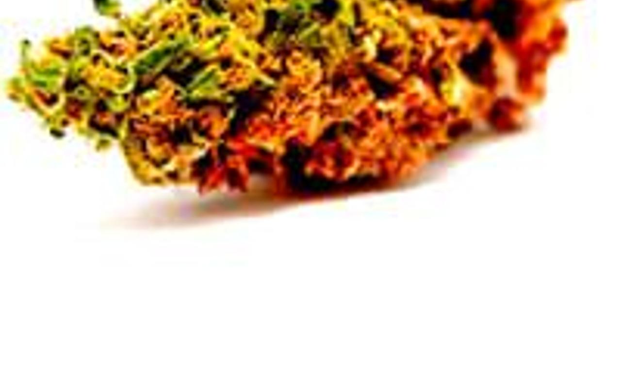 header image for California High