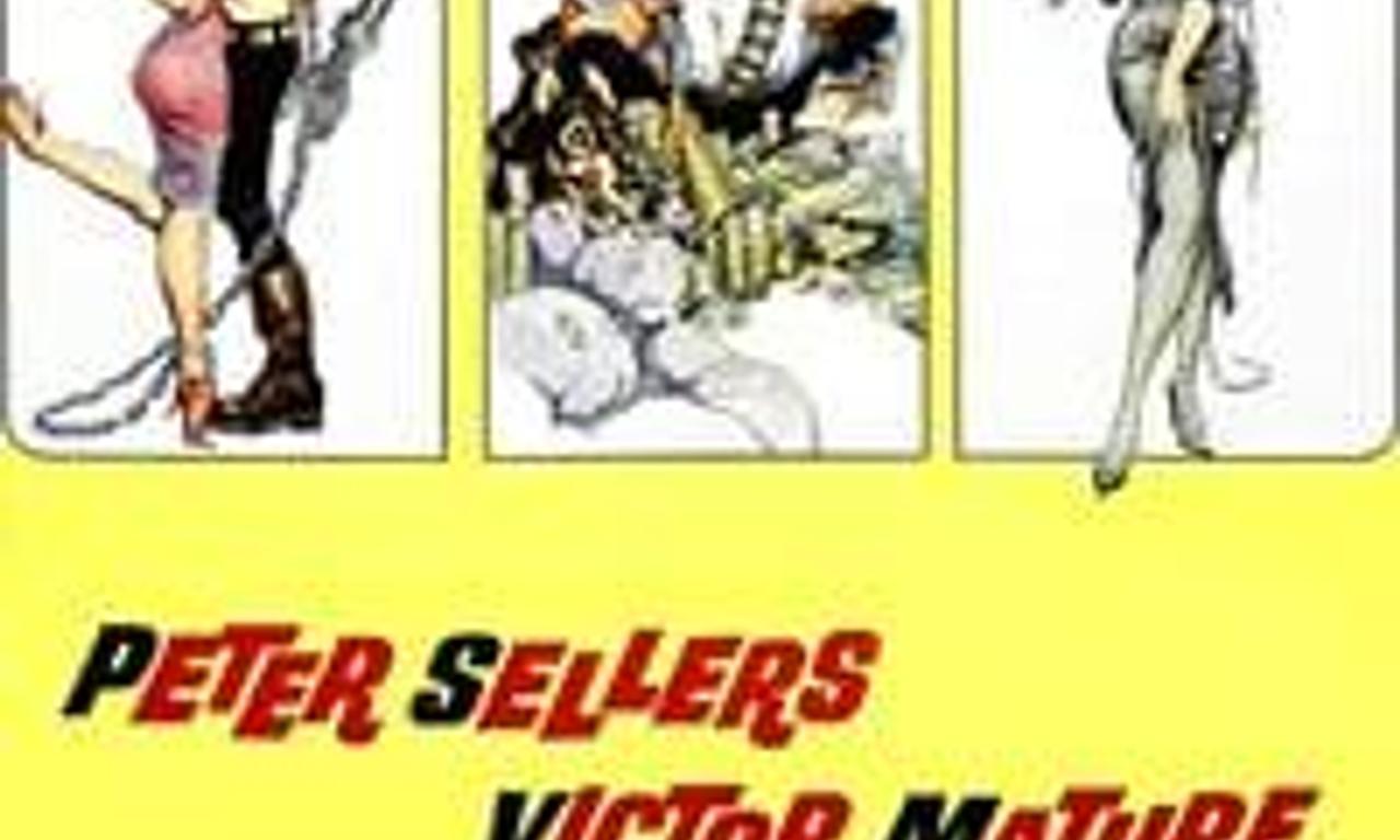 header image for After the Fox