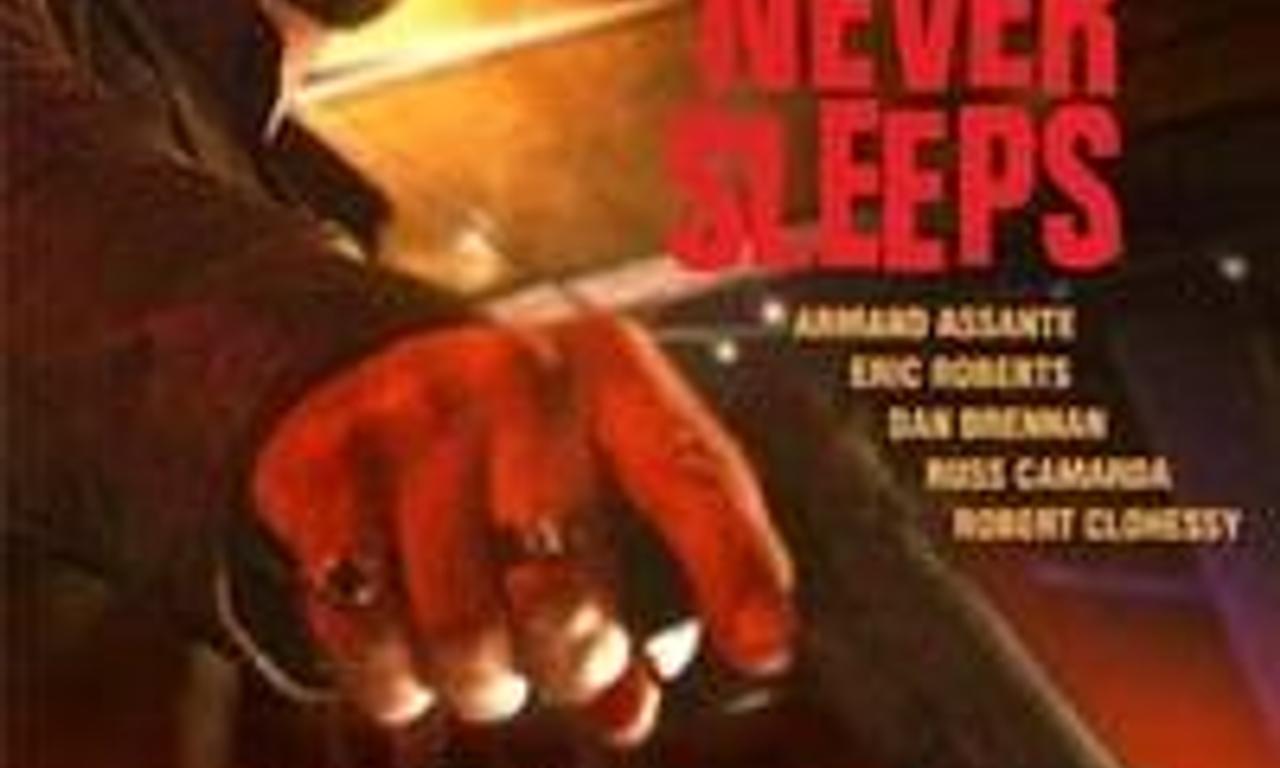 header image for The Night Never Sleeps