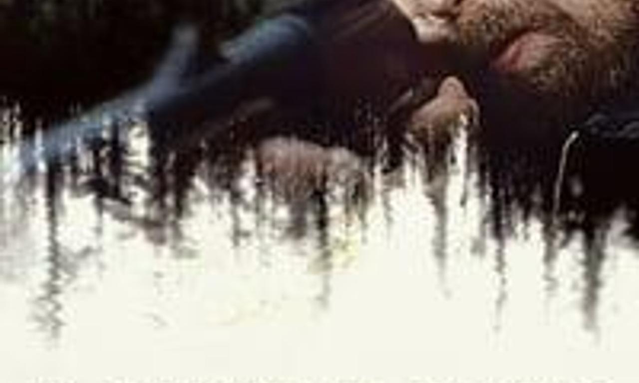 header image for A Single Shot