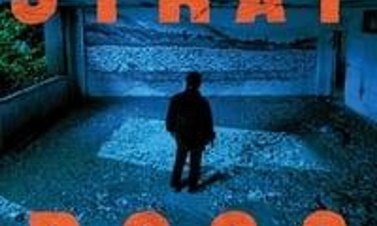 header image for Stray Dogs