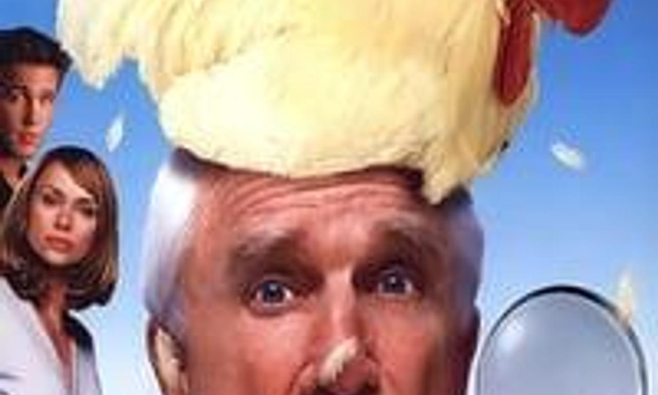 header image for Camouflage