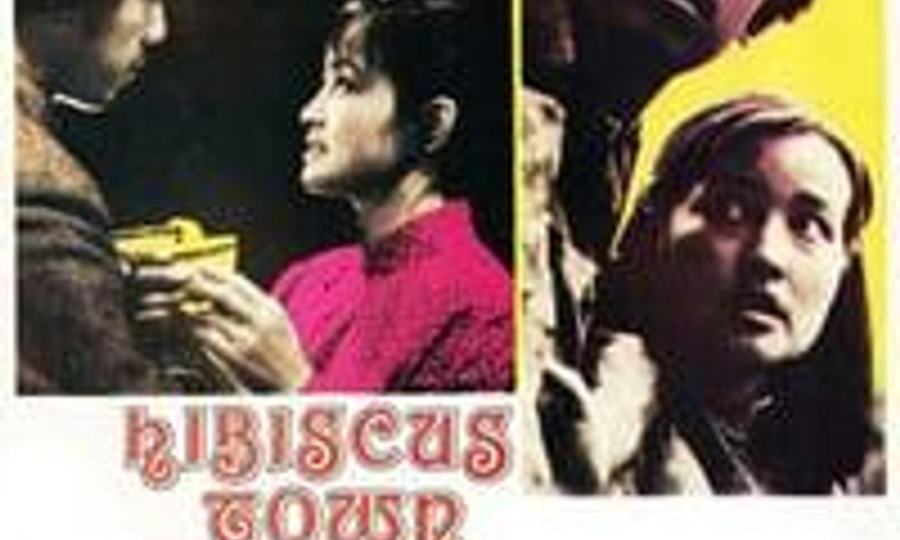 header image for Hibiscus Town