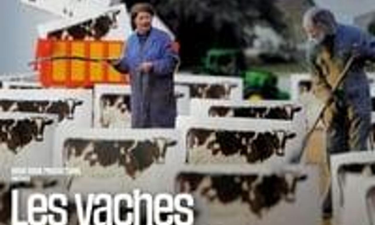 header image for Cows With No Name