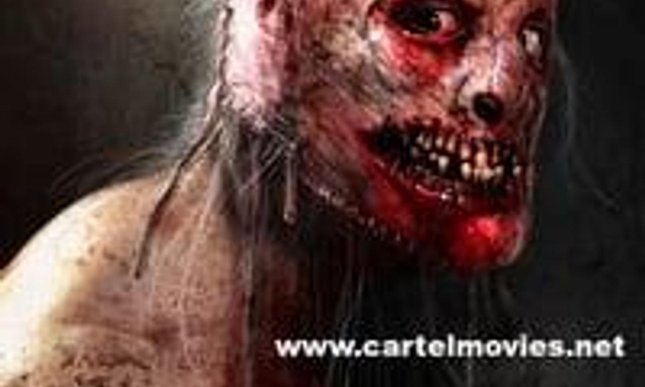 header image for Asylum