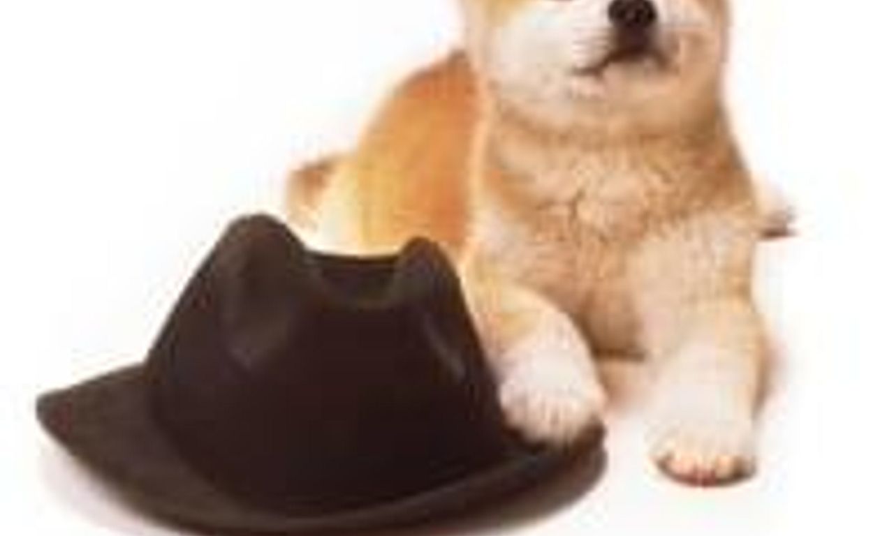 header image for Hachiko Monogatari