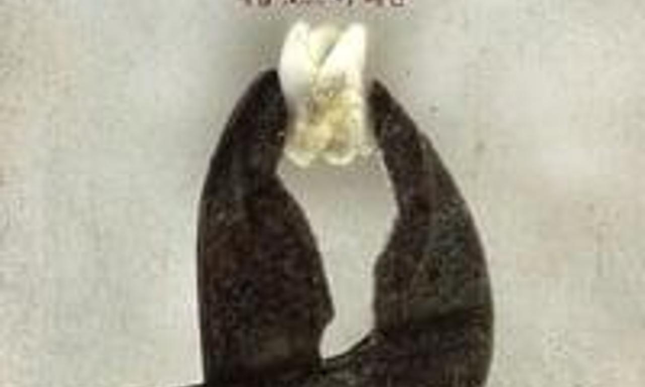 header image for Vile