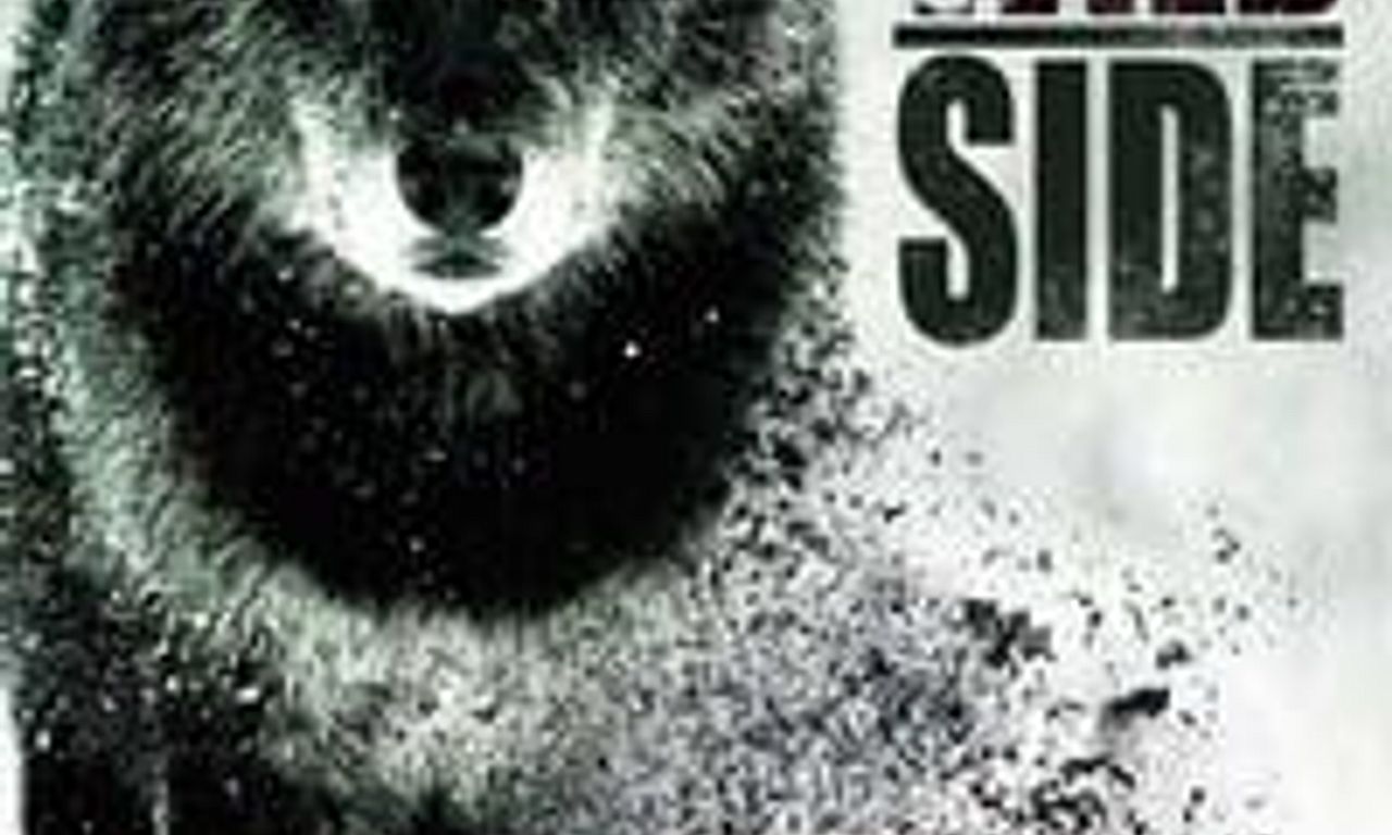 header image for On The Wild Side