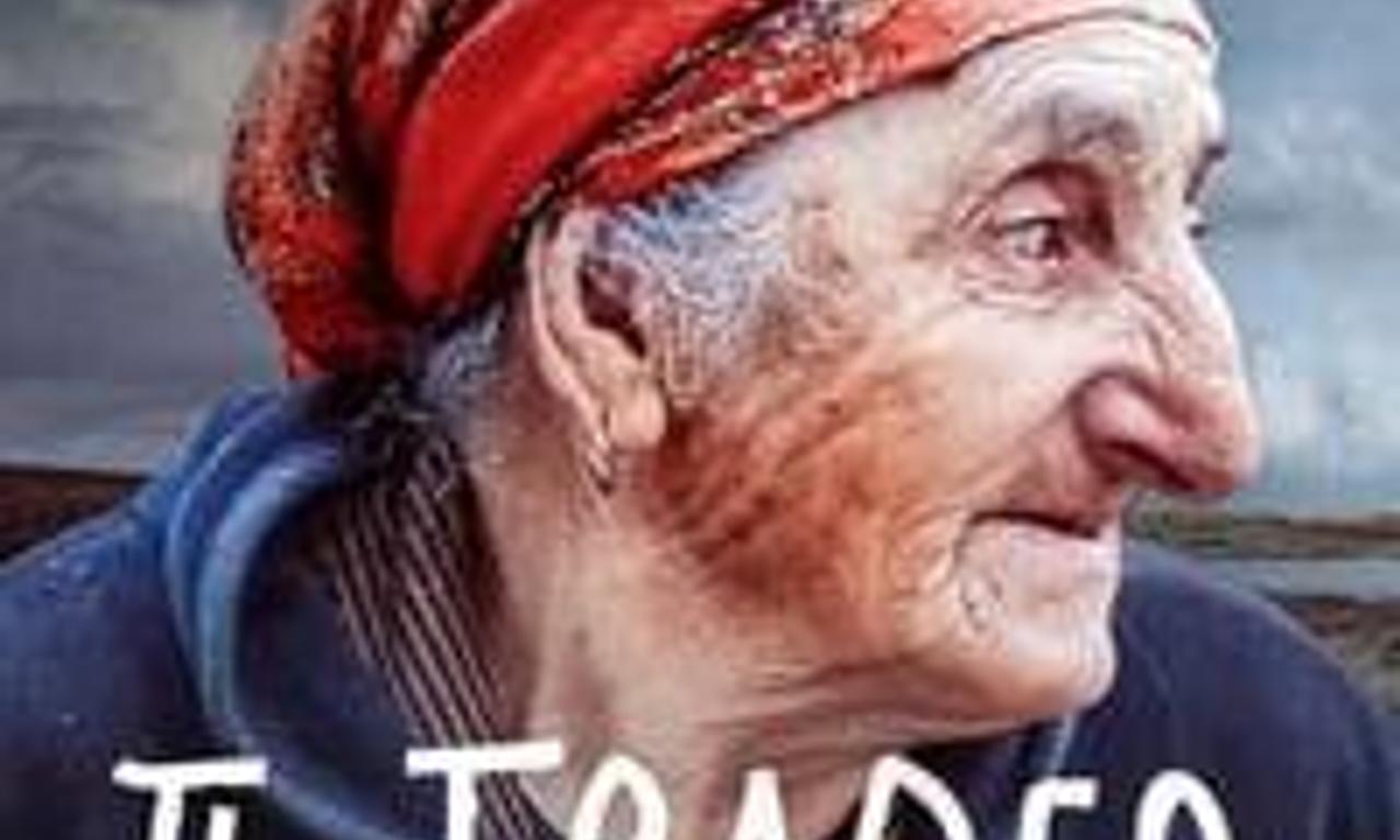 header image for The Trader