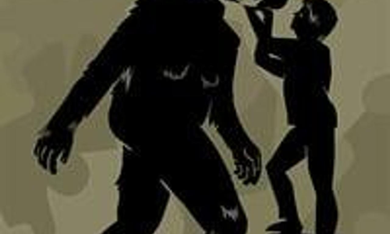 header image for Big Fur