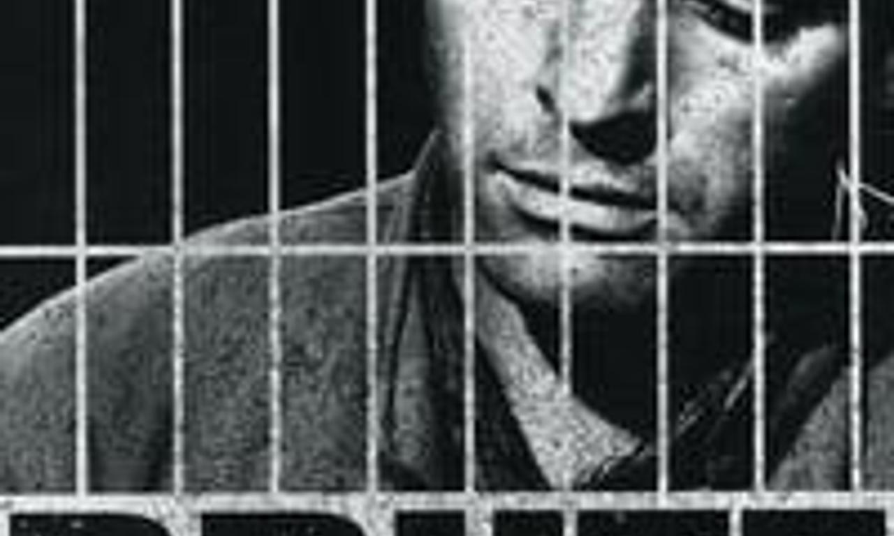 header image for Brute Force