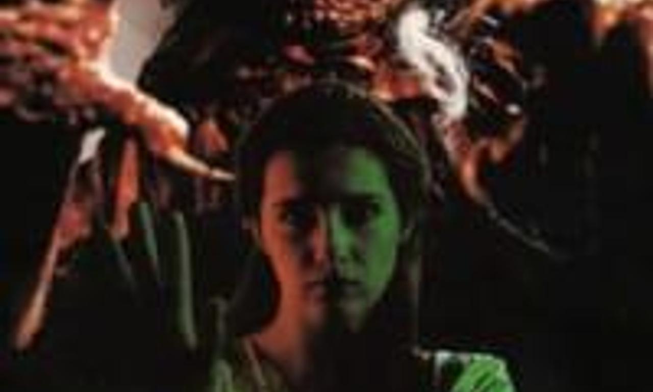 header image for The Black Cat