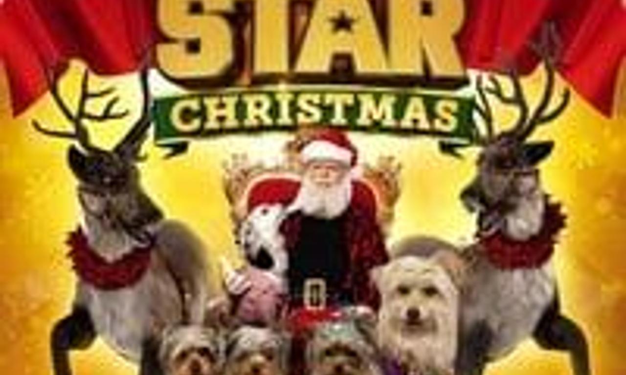 header image for Puppy Star Christmas