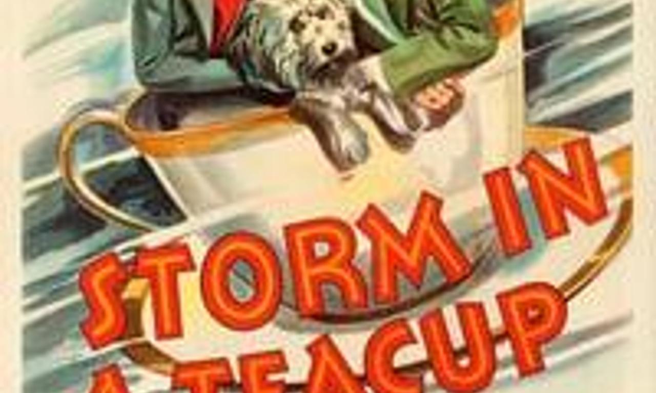 header image for Storm in a Teacup