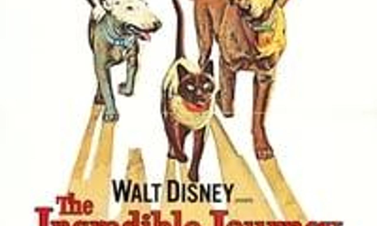 header image for The Incredible Journey