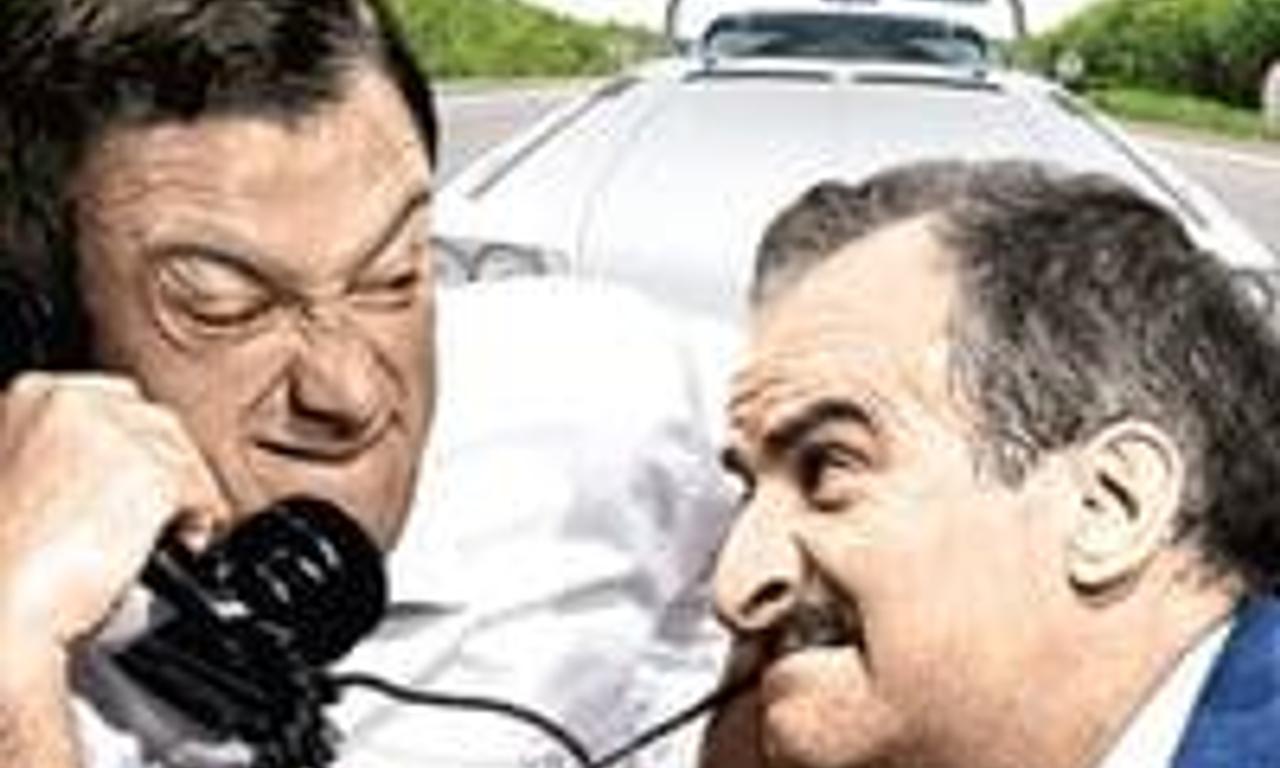 header image for The American Beauty